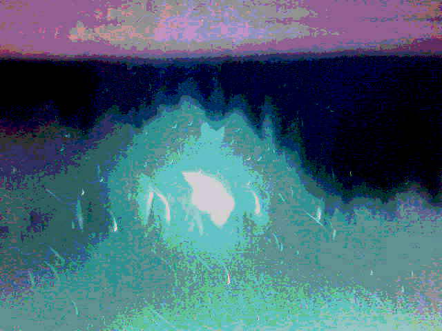 Лоснилась под ногами мостовая Из цикла Бомжи