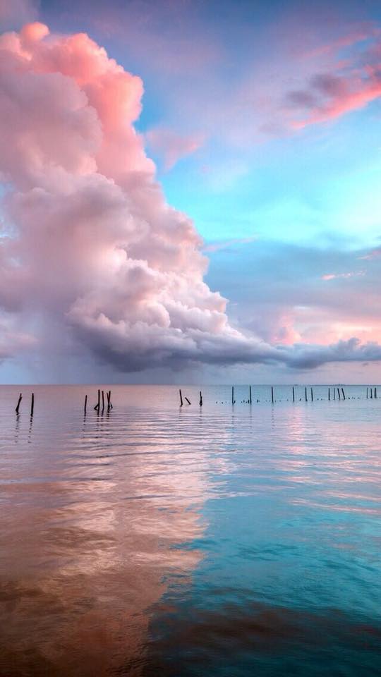 На сиреневой луне кошка...