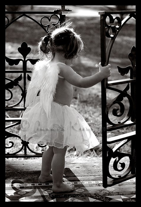 Молодые поэты