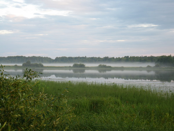 Если грусть тебя настигла