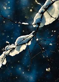 И невольно слеза упала