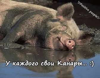 Про лучшие года