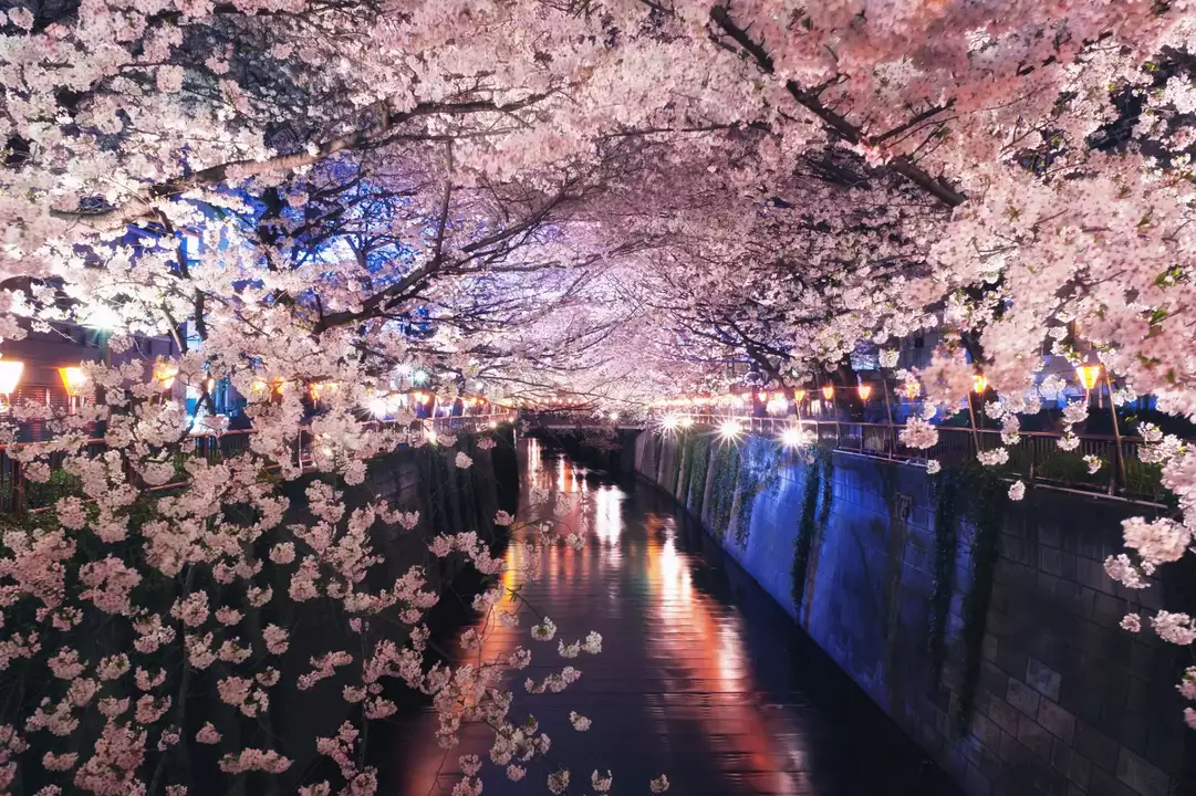 In japan the spring
