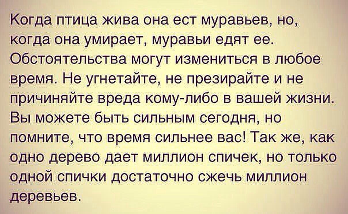 В то время когда ее. В то время когда ее. В то время когда ее. Изречения эльчина сафарли. Время удивительная штука его так.