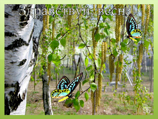 Сумасшедший...