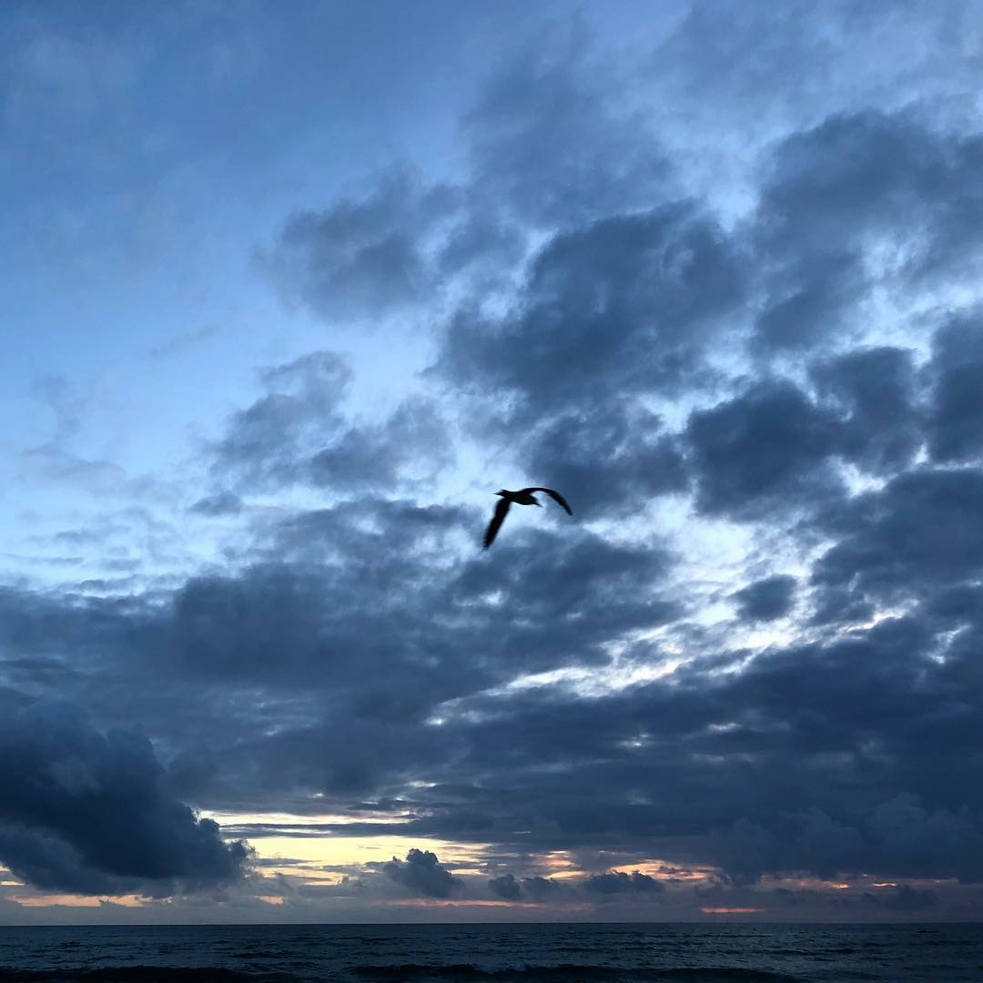 Тень... меня