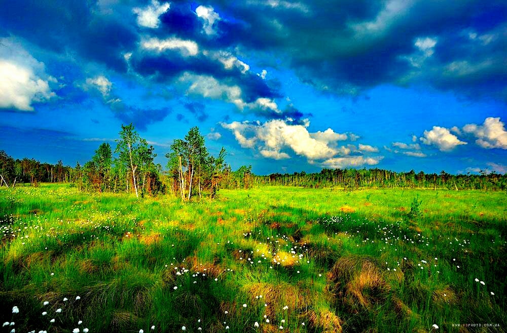 Солнышко проснулось! (Хаппи Джаника) / Стихи.ру