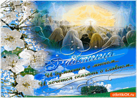 Небо, ты, свидетель, не отдали б их...