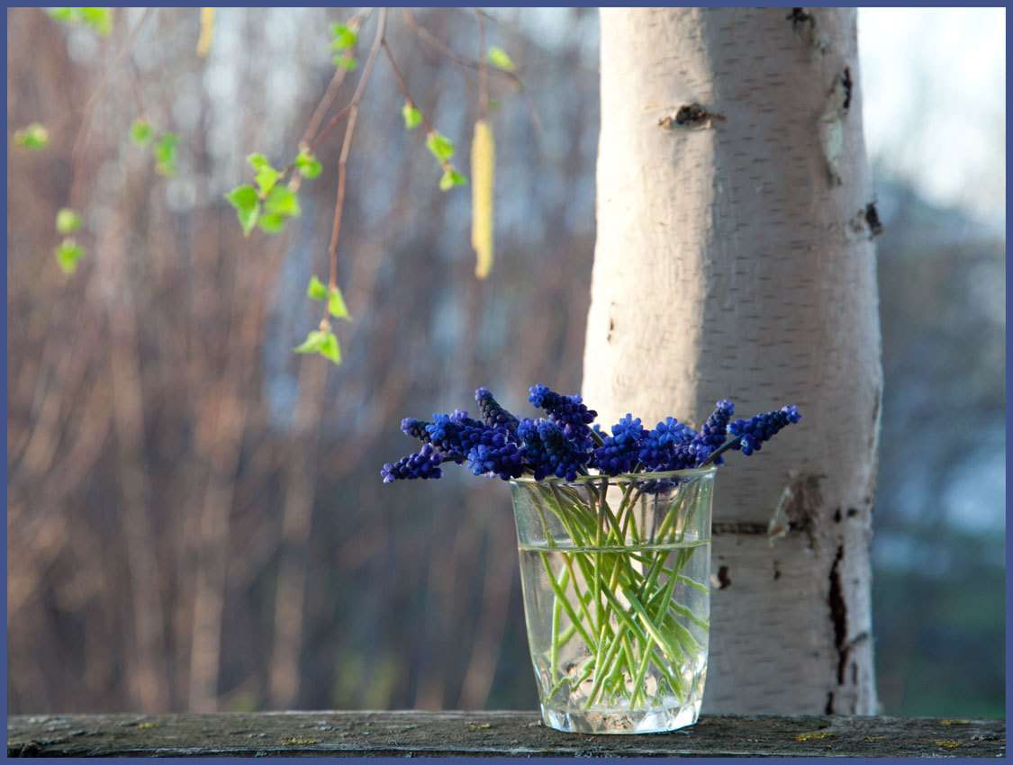 Мелодия бунтующей весны