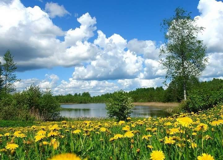 Хвала Весне и жизни По всей земле зелёных трав И с