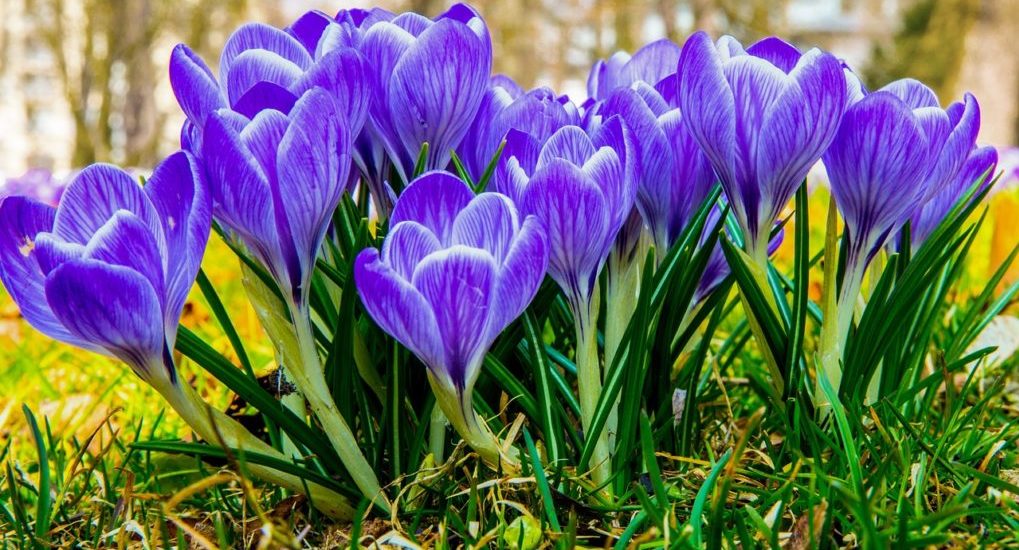 116. Как всегда?..