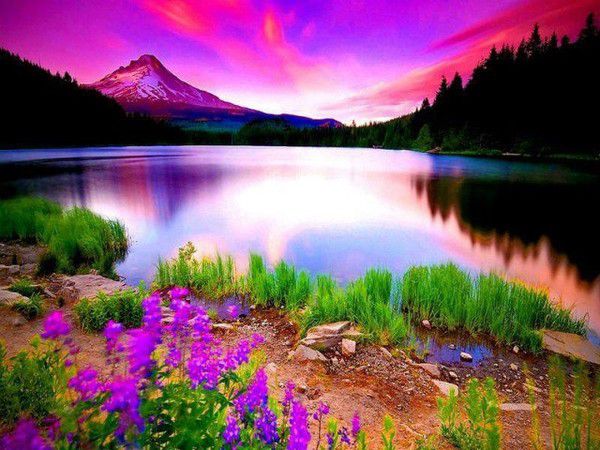 34 О, как прекрасен мир природы!