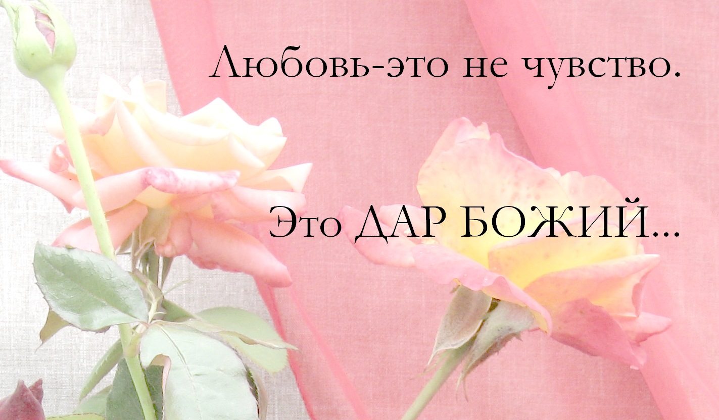 О жертвенной жизни - не может быть речи...