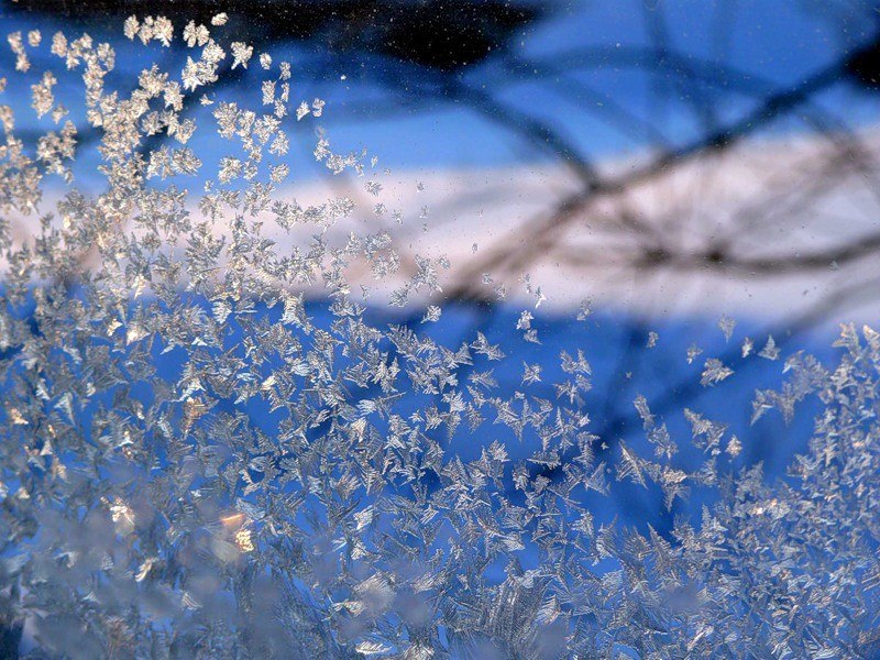 Сказал мудрец своим ученикам