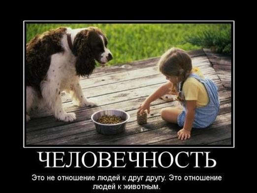 Человечность...