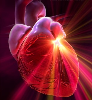 Что лучше?..