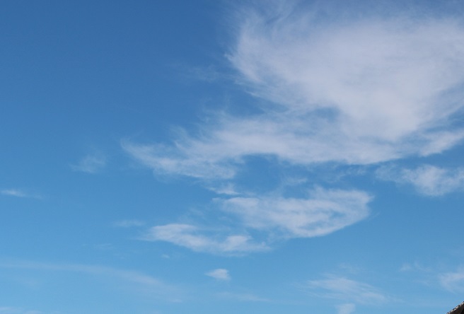 Мне сегодня снилось