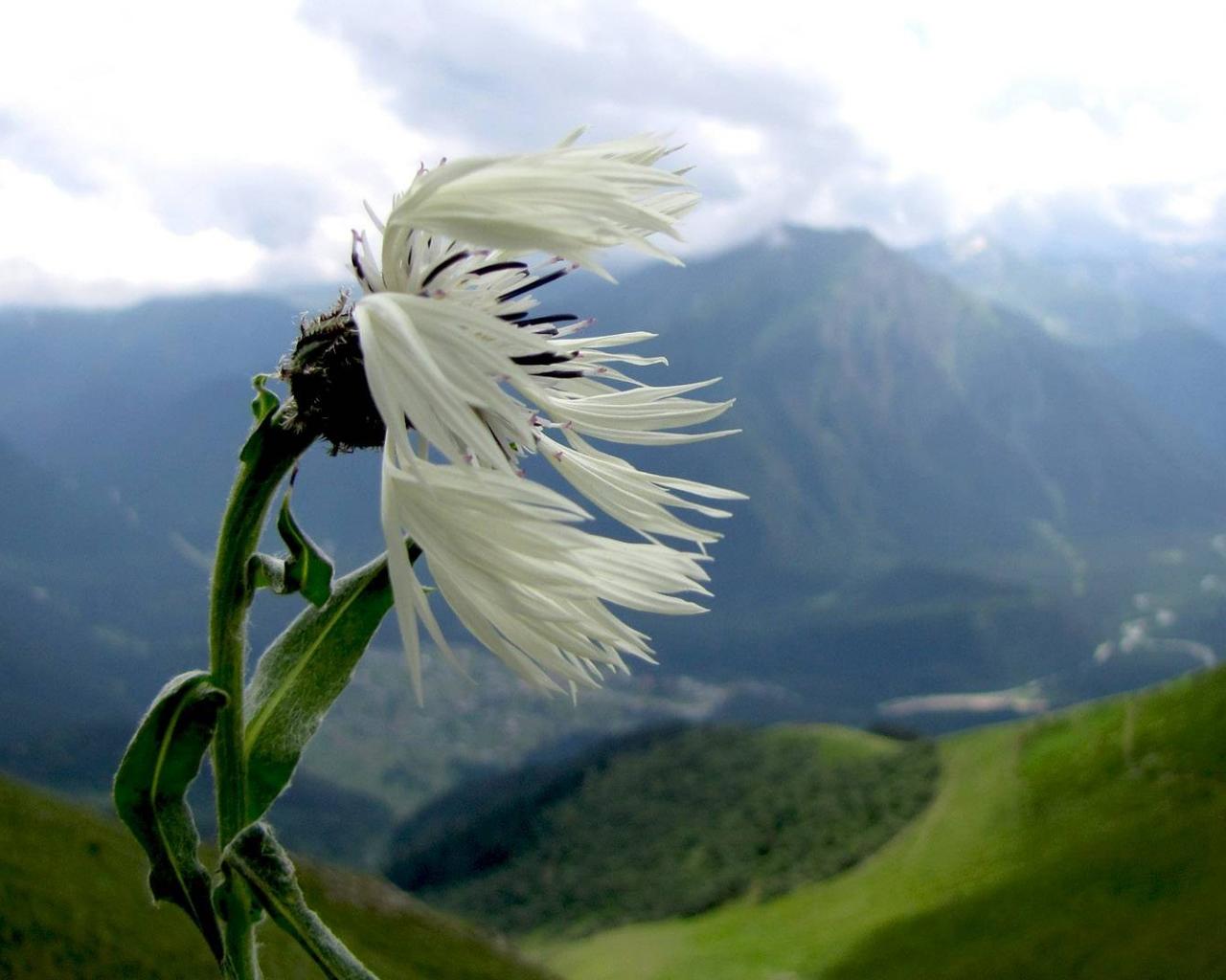 Каким-то ветром в нас заносит