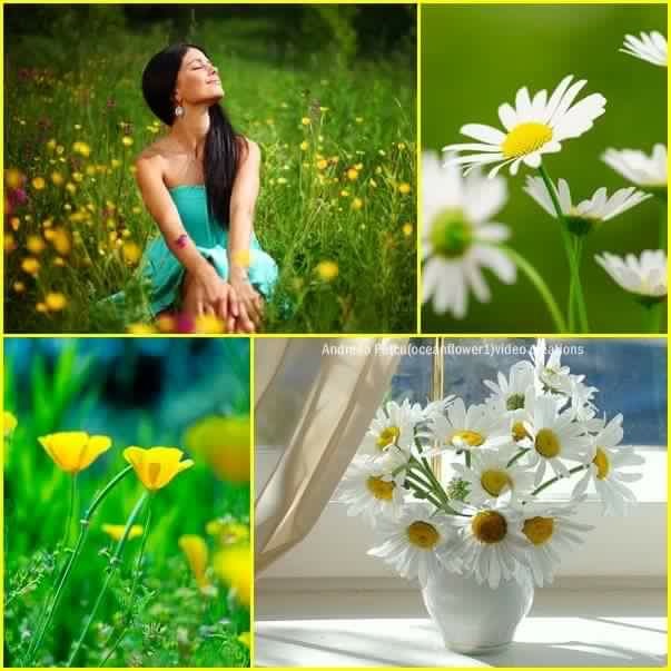 И столько радости...