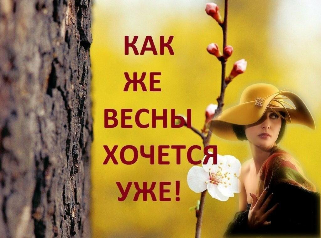 Сегодня снова снег кружился над землей