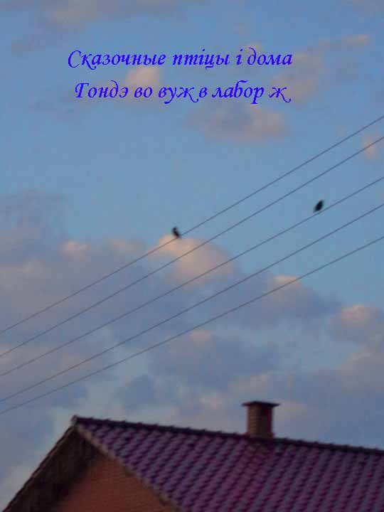 Вада б хоть свежа