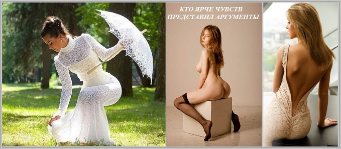 Кто ярче чувств представил аргументы?