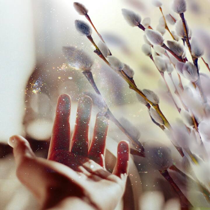 Вербное воскресенье - триптих