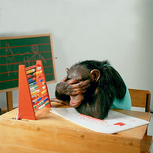 Планерка в зоопарке