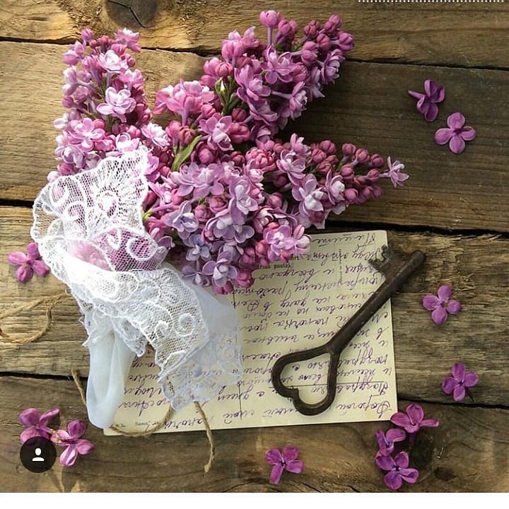 Мечтайте почаще