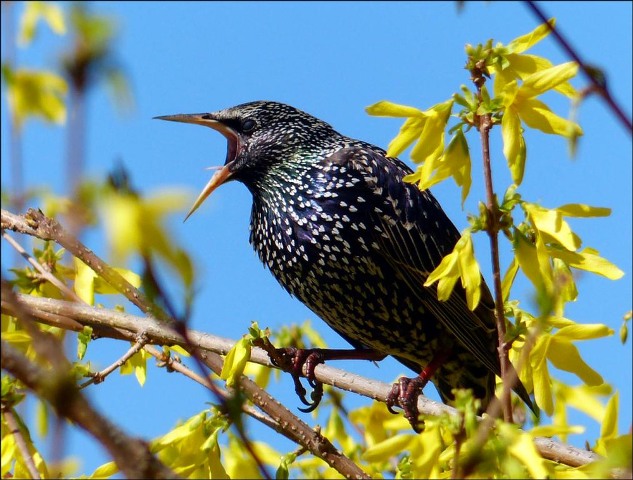 Жизнь всё равно возьмёт своё!