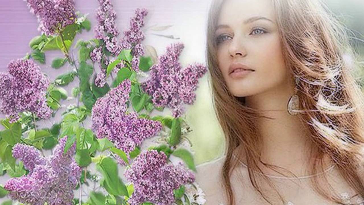 Песня мне напомнит запах вишни молодость сирень. Цветущие сады весной. Девушка с сиренью. Запах сирени певец. Песня мне напомнит запах вишни молодость сирень.