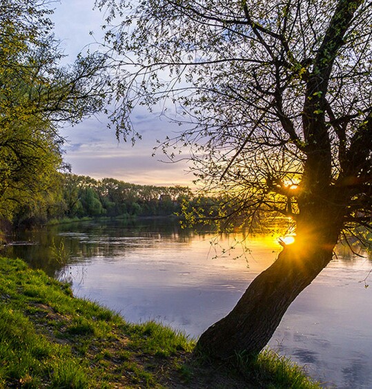 Весеннее утро. Утро солнце. Ранним апрельским утром проснулось солнышко. Природа солнце. Солнце весной.