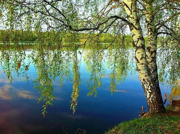 34 Места красивые у нас