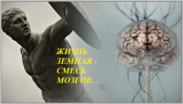 Жизнь Земная - смесь мозгов