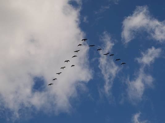Смысл - только в законченной строке!