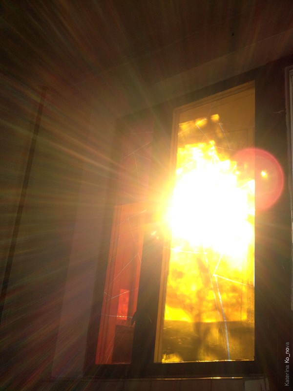 Богатство жизни