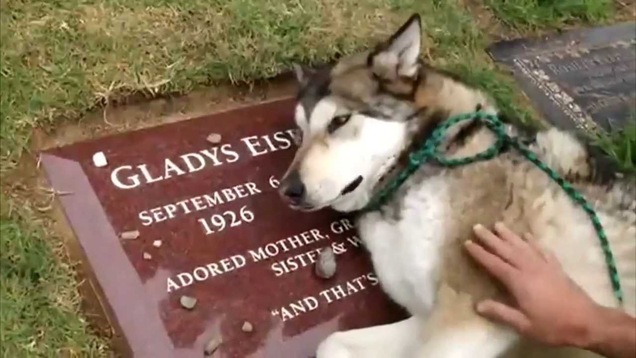 КАК - ДЛЯ КОГО!