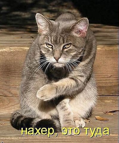 Почему я... ненавижу тебя?