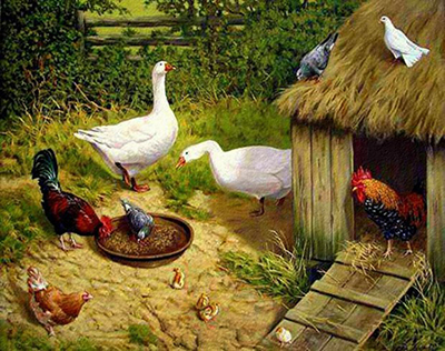 Май... огромный птичий двор