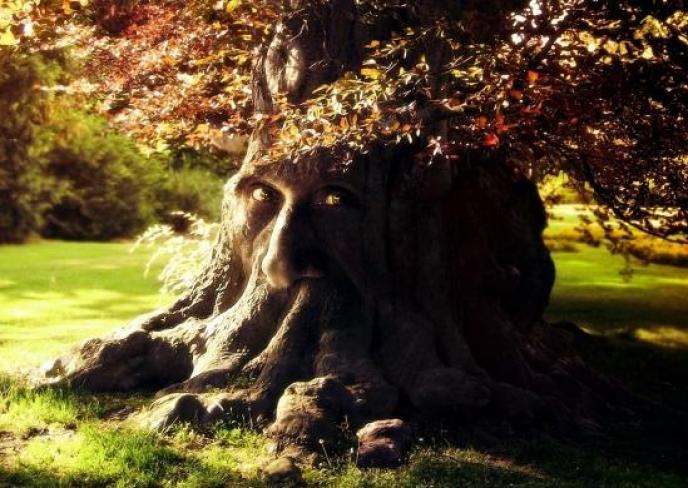 Сказка старого дуба