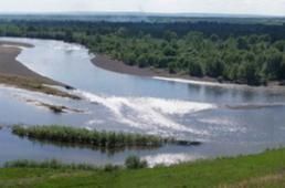 Бегущий снег я растоплю