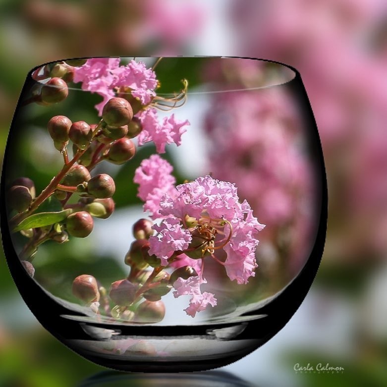 Без приглашения влюбиться...