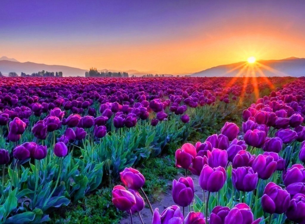 В каждом утре - много счастья!