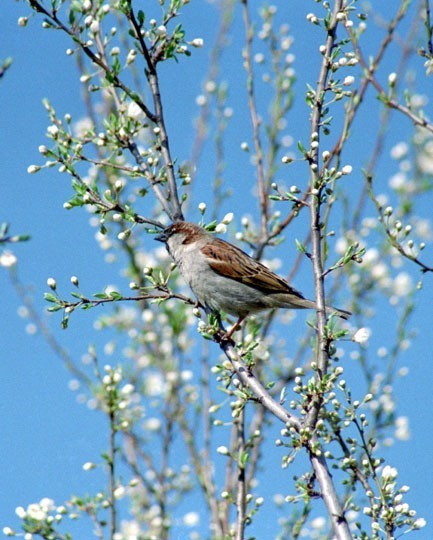 Бог вам вещает о наказаньи!