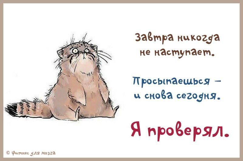 День настал