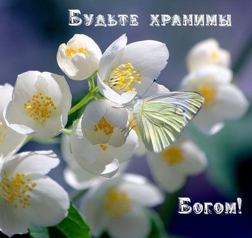 У ВСЕХ - СВОЁ...