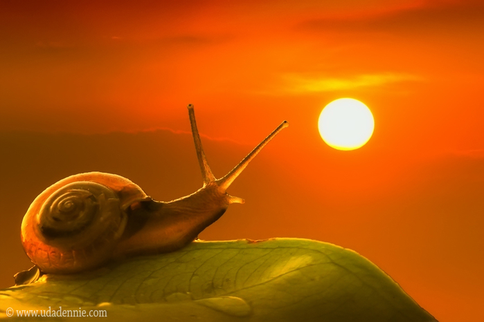 Небесный рассвет