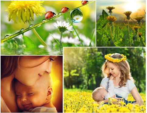 Майская колыбельная