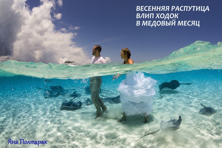 предмайский клининг - КХ синий апрель до свидания