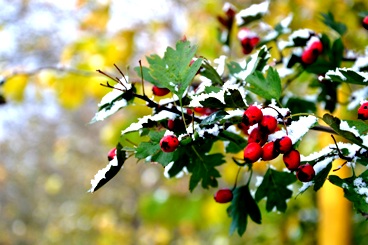 Черно-голубое